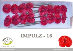 Anthurium Impulz 11cm Hd