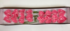 Anthurium Pink Lady 11cm Hd