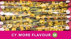 Cymbidium Mini Vera 60cm