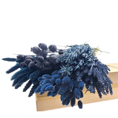 Dried Flowers Diy Box Assorti 65-70cm