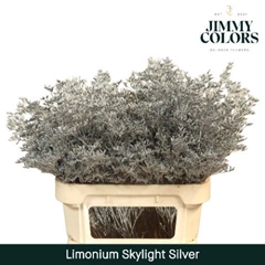Limonium Painted Skylight Silver 70cm 25gr.