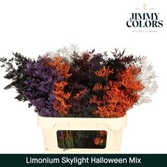 Limonium Painted Skylight Halloween Mix 70cm 25gr.