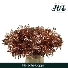 Pistacia Painted Metallic Copper + Glitter 40cm