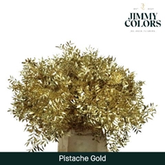 Pistacia Painted Metallic Gold 40cm