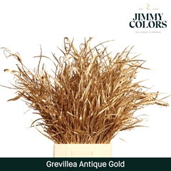 Grevillea Painted Antique Gold Per Bunch 70cm