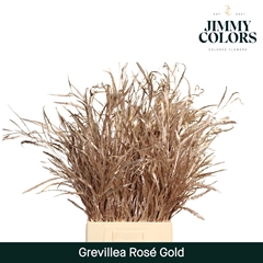 Grevillea Painted Rose Gold Per Bunch 70cm