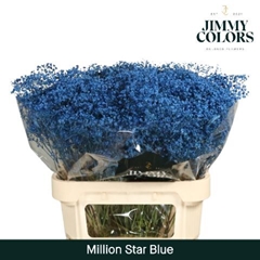 Gypsophila Painted Million Star Blue 80cm 30gr.