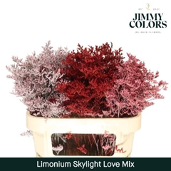 Limonium Painted Skylight Love Mix 80cm 30gr.