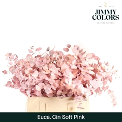 Eucalyptus Cinerea Painted Soft Pink Per Bunch 70cm 200gr.