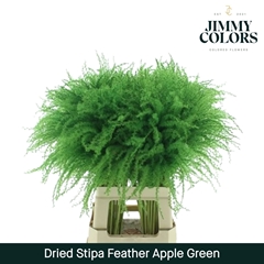 Stipa Feather Apple Green 70cm