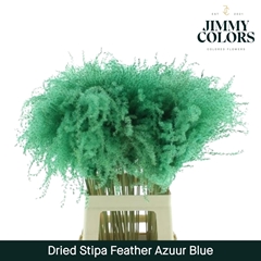 Stipa Feather Turquoise 70cm