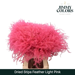 Stipa Feather Baby Pink 70cm