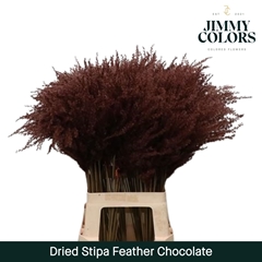 Stipa Feather Chocolate 70cm