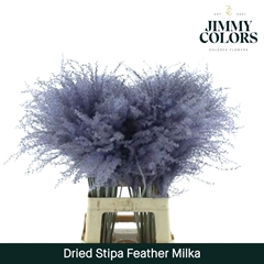 Stipa Feather Milka 70cm