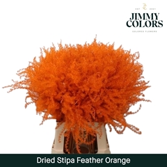 Stipa Feather Orange 70cm