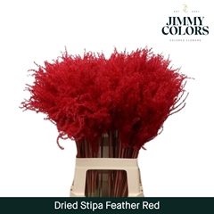 Stipa Feather Red 70cm