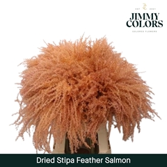 Stipa Feather Salmon 70cm