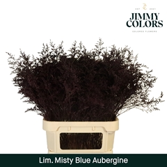 Limonium Painted Misty Blue Aubergine 90cm 40gr.