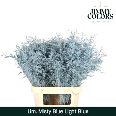 Limonium Painted Misty Blue Light Blue 90cm 40gr.