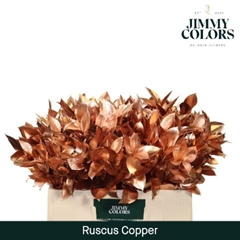 Ruscus Painted Hypophyllum Copper 50cm