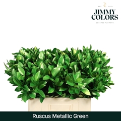 Ruscus Painted Hypophyllum Metallic Green 50cm