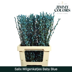 Salix Snow Flake Painted Baby Blue 70cm