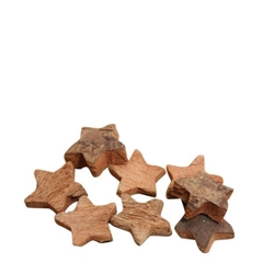 Christmas Deco Star Coco D04.5cm X100