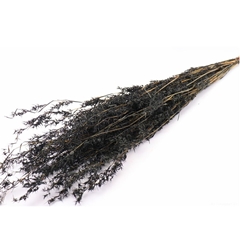 Dried Flowers Beta Grass 100cm