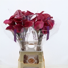 Zantedeschia Tokyo 70cm