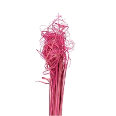 Dried Articles Curly TingTing 70cm 200g