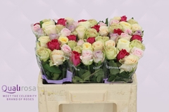 Rosa Mixed 50cm