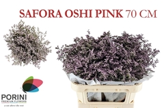 Limonium Safora Oshi Pink 70cm 45gr.