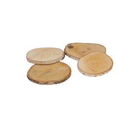 Dried Articles Wood Slice Birch D09*10cm X10