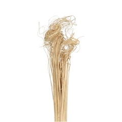 Dried Articles Curly TingTing 70cm 200g
