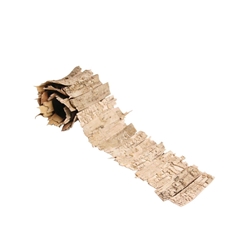 Dried Articles Birch Bark 90*11cm