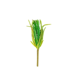 Artificial Plants Cactus 25cm