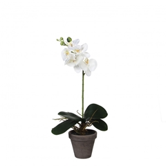 Artificial Plants Pot Phalaenopsis D11/13*48cm