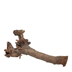 Dried Articles Kuwa Root 40cm