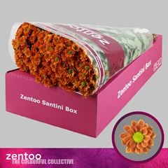 Chrysanth Santini Insta 55cm 44gr.