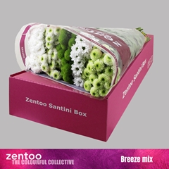Chrysanth Santini Mix 55cm 48gr.