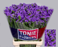 Limonium Sinuatum Crystal Dark Blue 70cm 60gr.