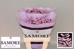 Limonium Sinuatum Rosella Sun Birds 60cm 20gr.