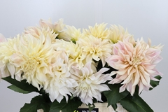 Dahlia Café Au Lait 60cm