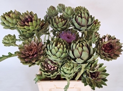 Cynara Green Globe 70cm