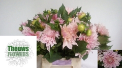 Dahlia Café Au Lait 50cm
