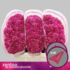 Chrysanth Santini Aaa Bluf Purple 55cm 40gr.