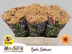 Chrysanth Santini Madiba Tyolo Salmon 55cm 48gr.
