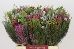 Bq Protea Wildflower 40cm