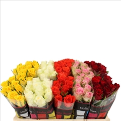 Rosa Mixed 60cm