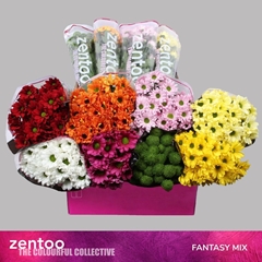 Chrysanth Spray Mix 70cm 85gr.